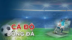 Bí Mật Thắng Lớn Với Cá Cược Bóng Đá HB88 Hấp Dẫn Nhất 2025