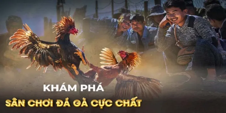 Cách Chơi Đá Gà GA28 Tại HB88 Đỉnh Cao Giải Trí 2025 2 Cách Chơi Đá Gà GA28 Tại HB88 Đỉnh Cao Giải Trí 2025