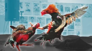 Hướng Dẫn Chơi Đá Gà Sabong Tại HB88 Dễ Thắng Nhất 2025