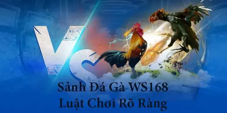 Bí Kíp Chơi Đá Gà WS168 Tại HB88 Thắng Lớn Mỗi Ngày 2 Bí Kíp Chơi Đá Gà WS168 Tại HB88 Thắng Lớn Mỗi Ngày