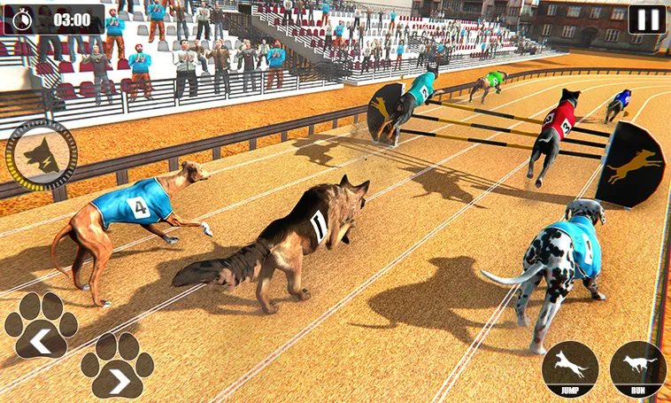 Cách Chơi Game Nhanh Đua Chó Tại HB88 Để Tăng Tỷ Lệ Thắng Lớn Nhanh 2 Cách Chơi Game Nhanh Đua Chó Tại HB88 Để Tăng Tỷ Lệ Thắng Lớn Nhanh